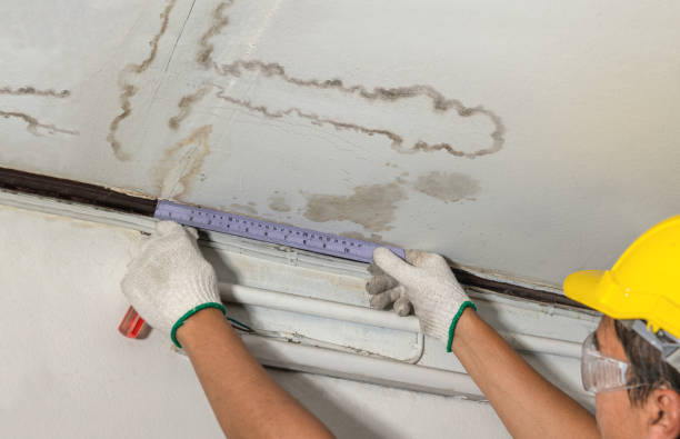 Reliable Flood Cleanup contractor in Dumont, CO by Water Damage Irwin